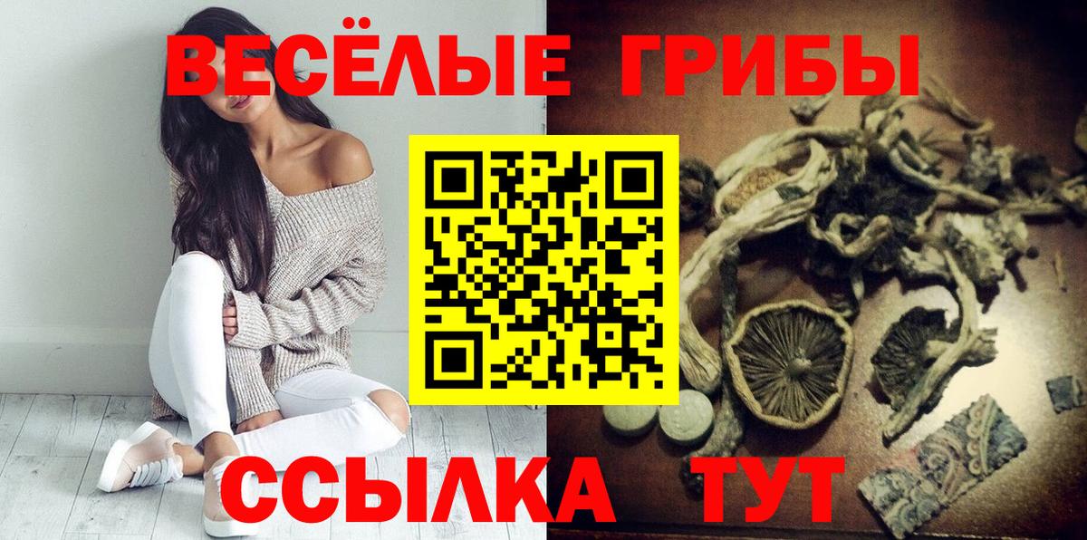 Сатка  Псилоцибиновые грибы Magic Shrooms  Вход с VPN 